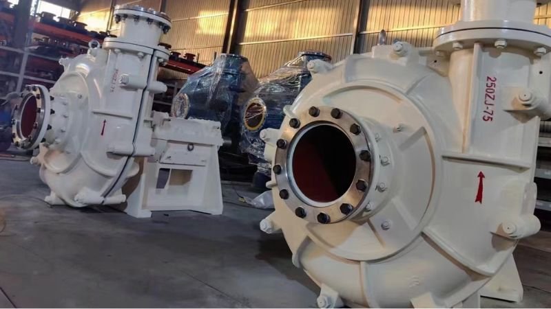 robust slurry pumps